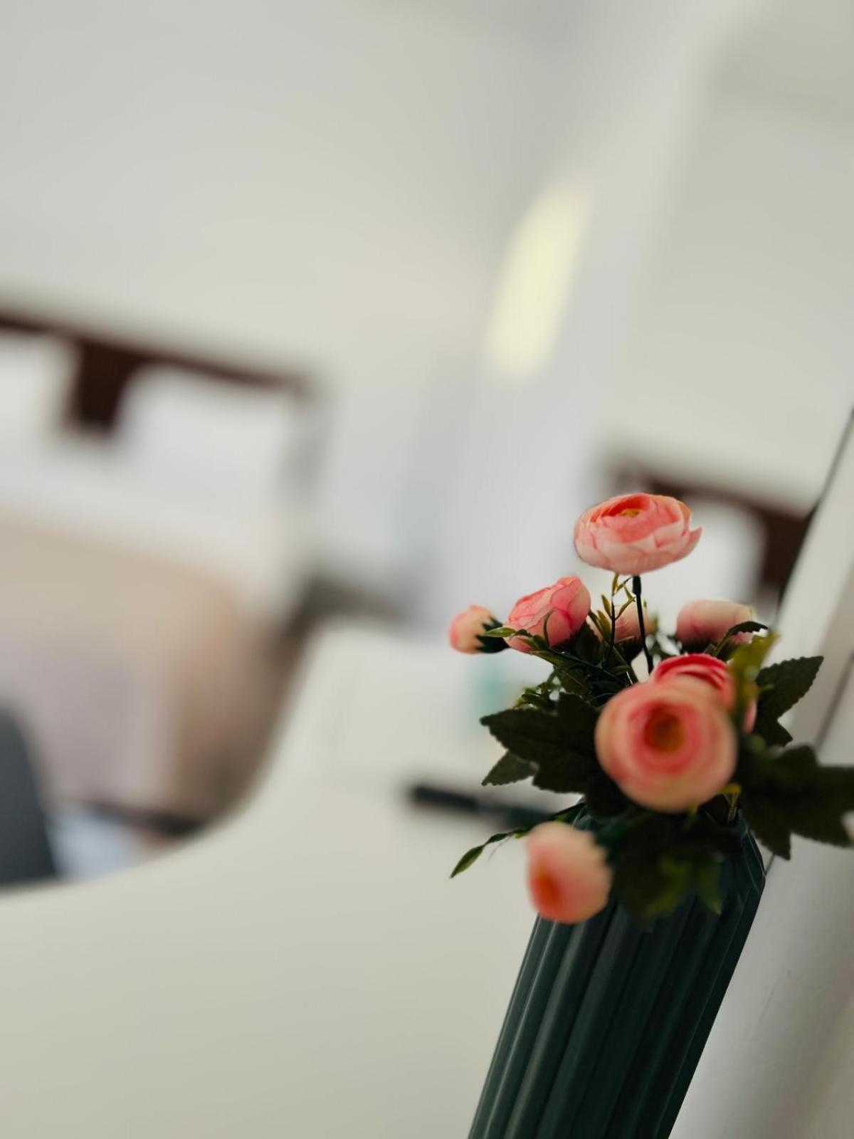 Casa Irina 2Mai Hotell Două Mai Eksteriør bilde